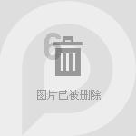 合金装备幸存
