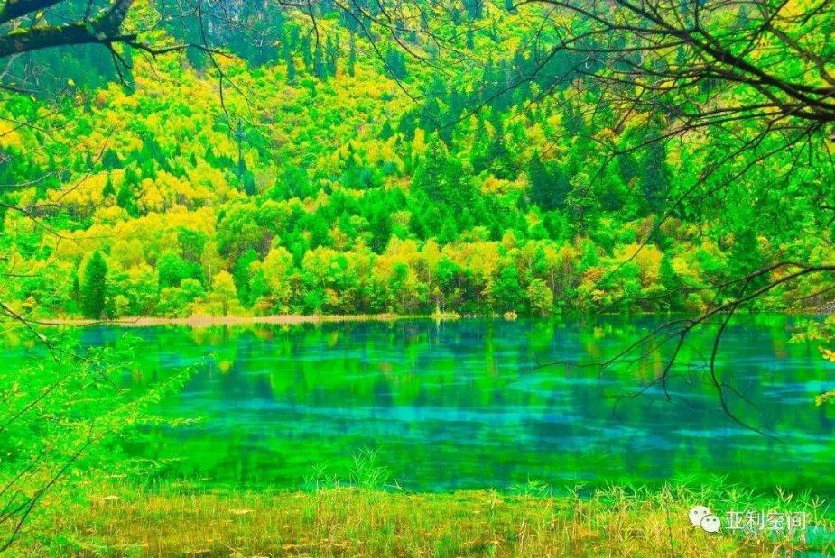 你好汽车玻璃能修复吗？游戏画面