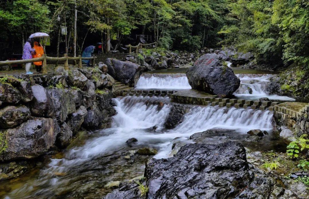 沪江开心词场