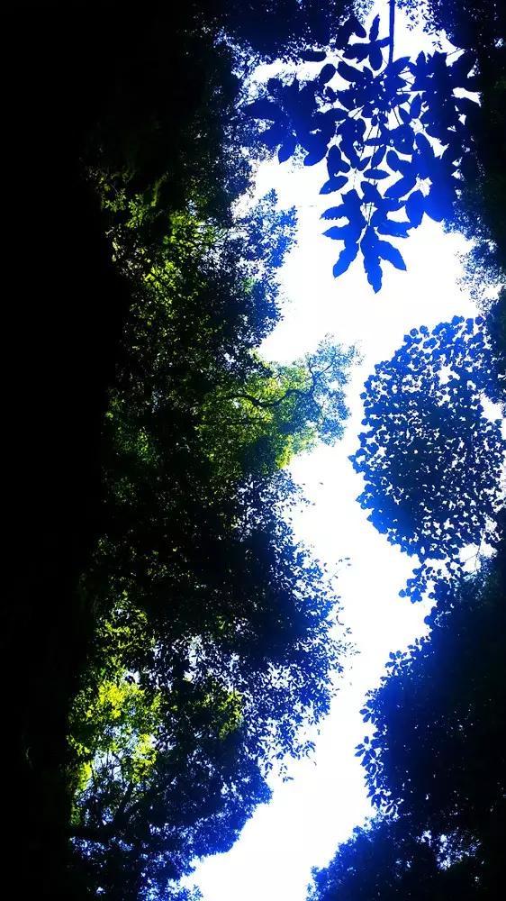 脑洞小老弟无实名认证