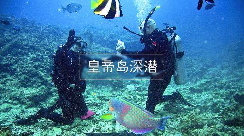金灿荣:美国单方面对华新冷战已经开始,但中美双边新冷战未发生