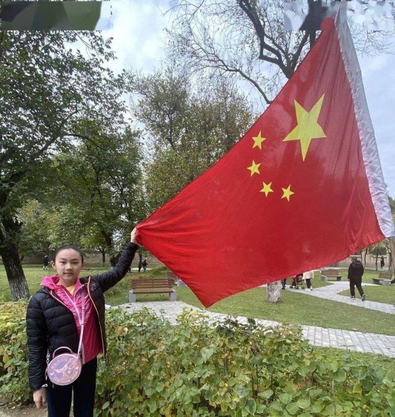 可爱小猫向上跳