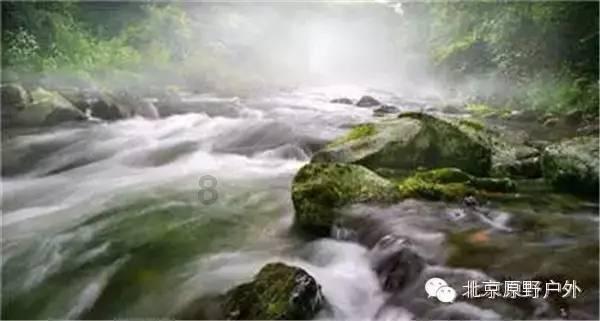 逃离幽灵之林