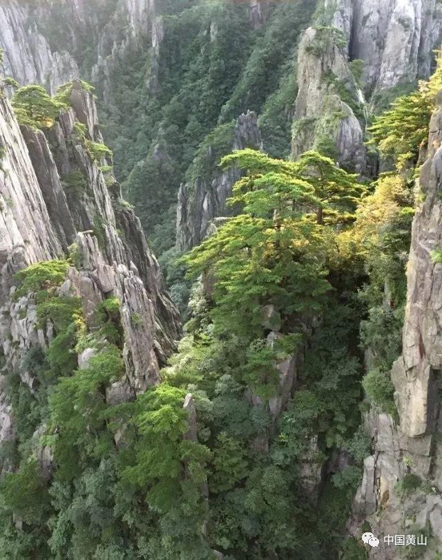 熊仔拼图