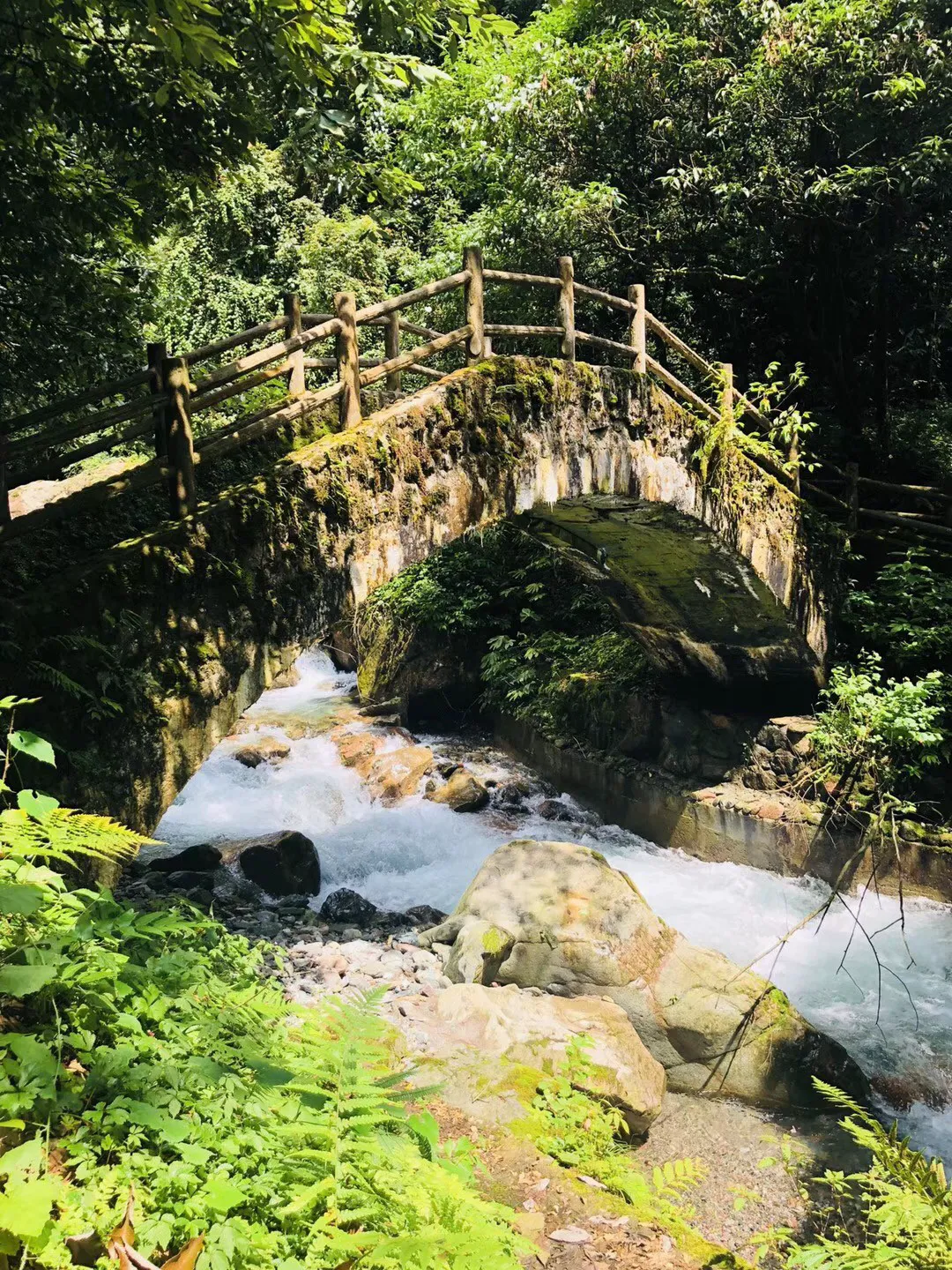 苹果手机的充电口坏了要多少钱维修？