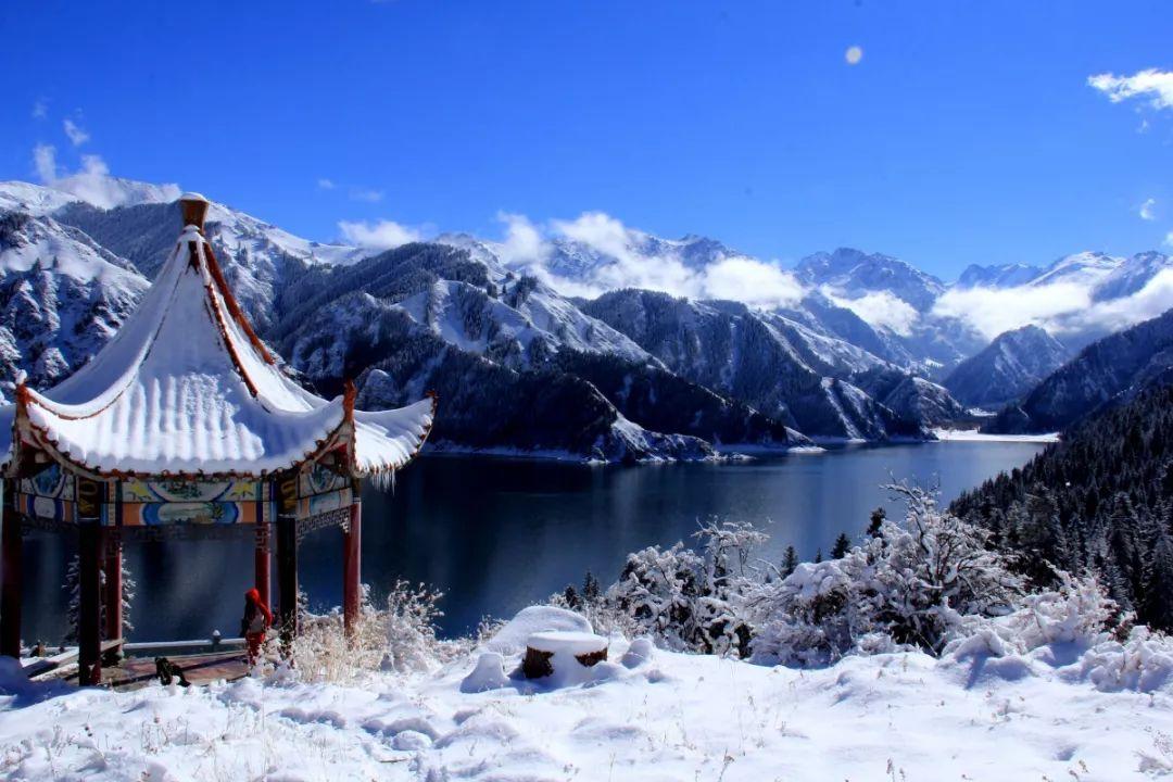 救援海盗章鱼
